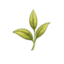 A sprig of tea leaves